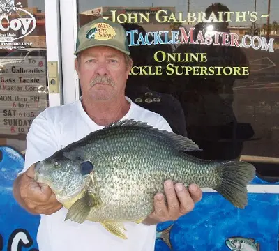 World Record Sunfish
