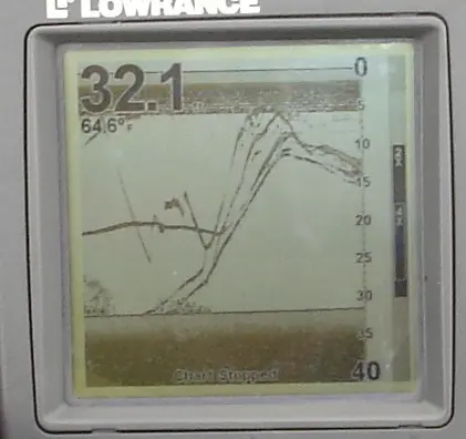 bass eating a drop shot