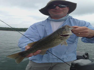 0131397e9e806022e5e40b573b9bcdb7564b8da723 (201