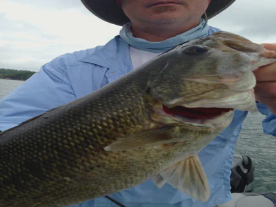 0139f85906e2661d0e48881d679ea0f0ff2f2cc840 (201