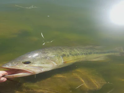 28576150 1855440791142222 2133103393118355456 o