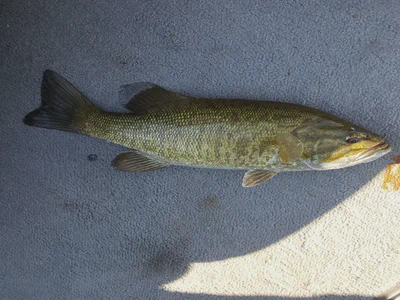 Img 20160817 170927 (2017 03 14 02 44 27 utc)